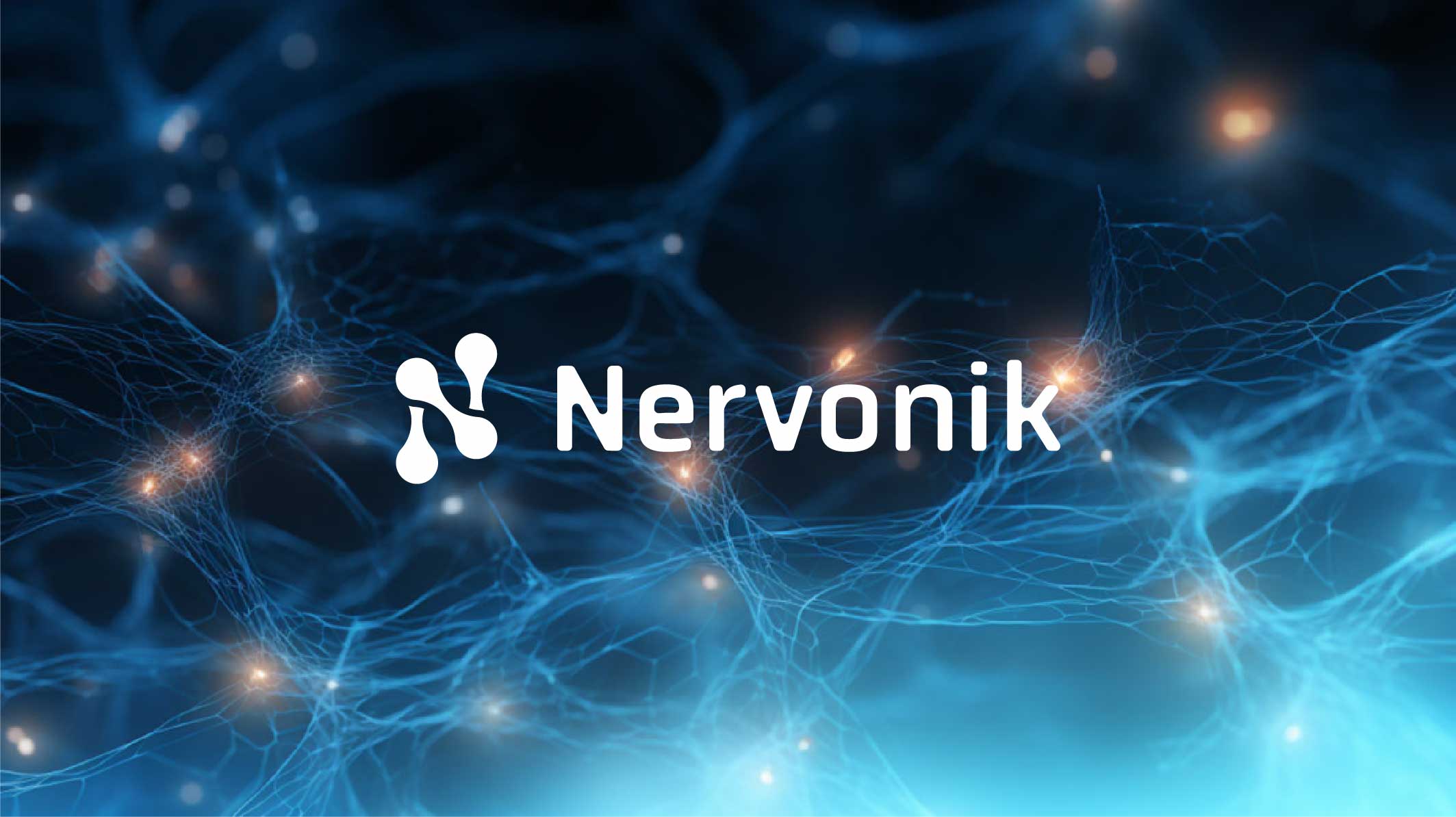 Nervonik case study
