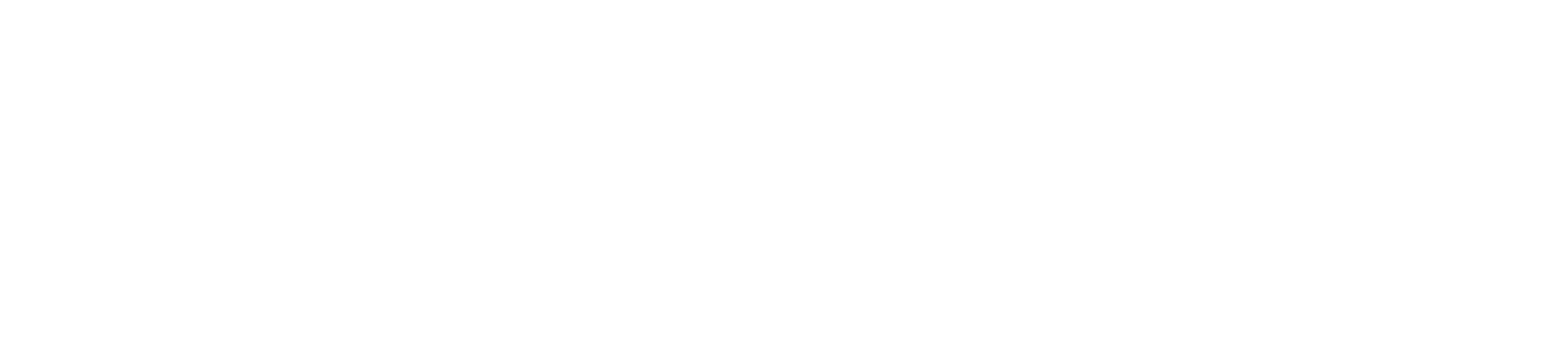 Nervonik logo