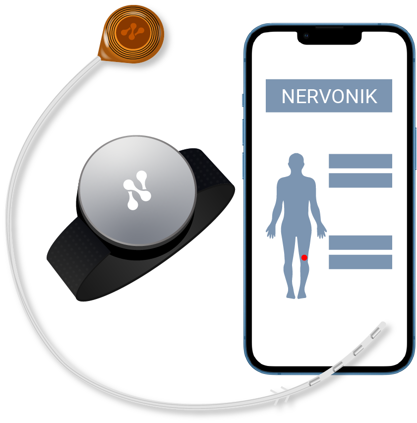 Nervonik-branding-3
