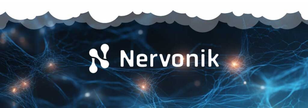 Nervonik branding